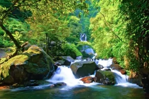 Ciherang Waterfall Bogor, A Beautiful Waterfall with Natural Panorama Perfect for Adventure