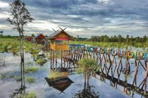 Tourist Attractions in Palangkaraya that Offer Natural Charm & Exotic Animals